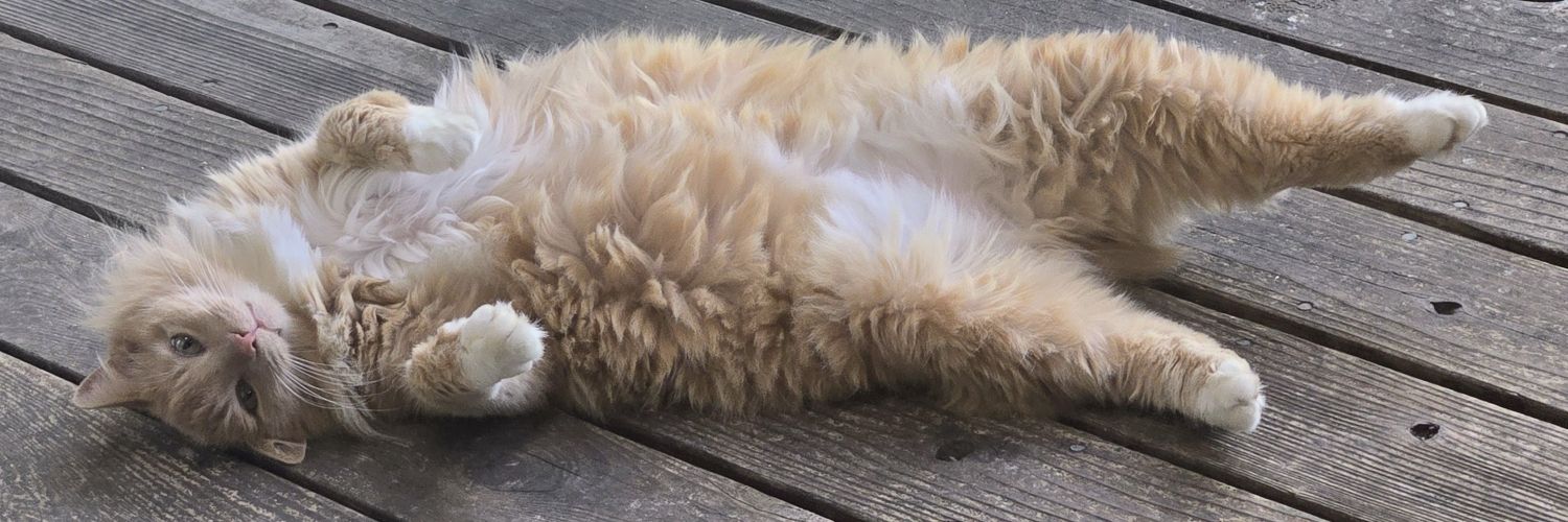 𝔽ℝ𝔼𝔼𝔻𝕆𝕄 𝔻𝕦𝕕𝕖™ banner