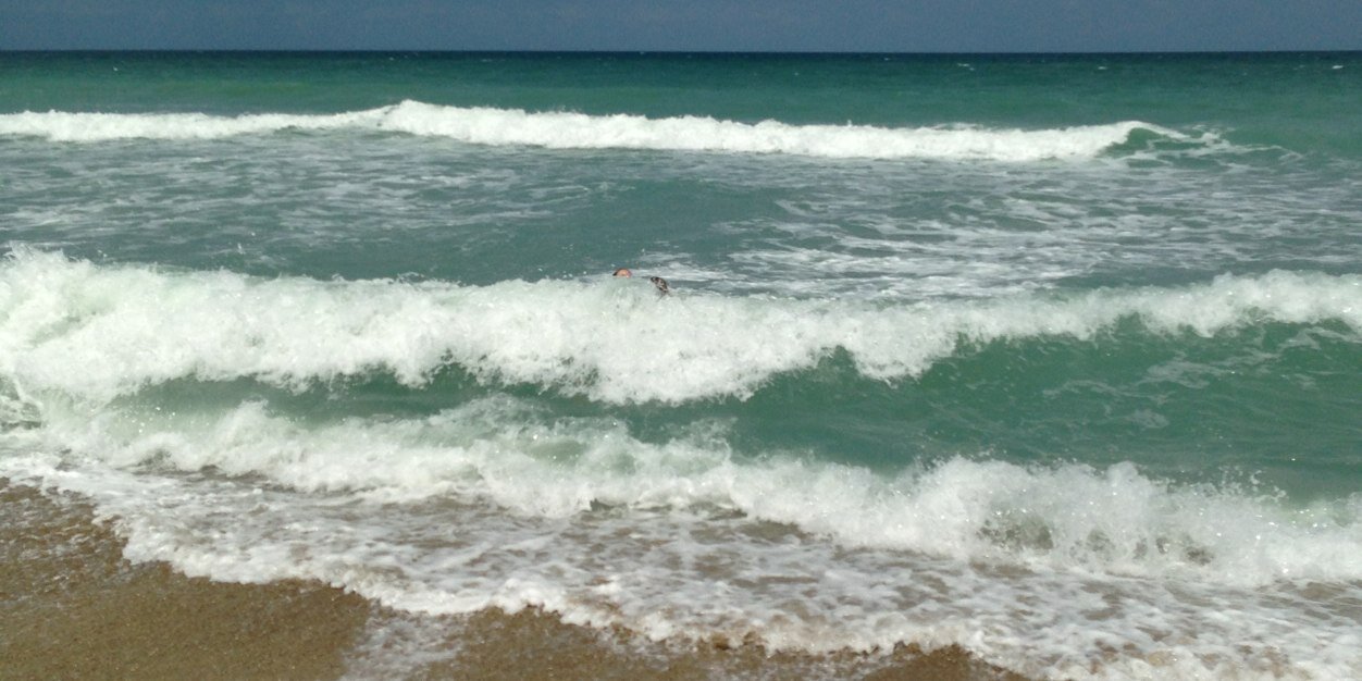 Kimberly Altmaier banner