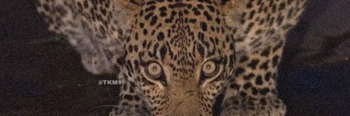 andradew__'s profile banner image
