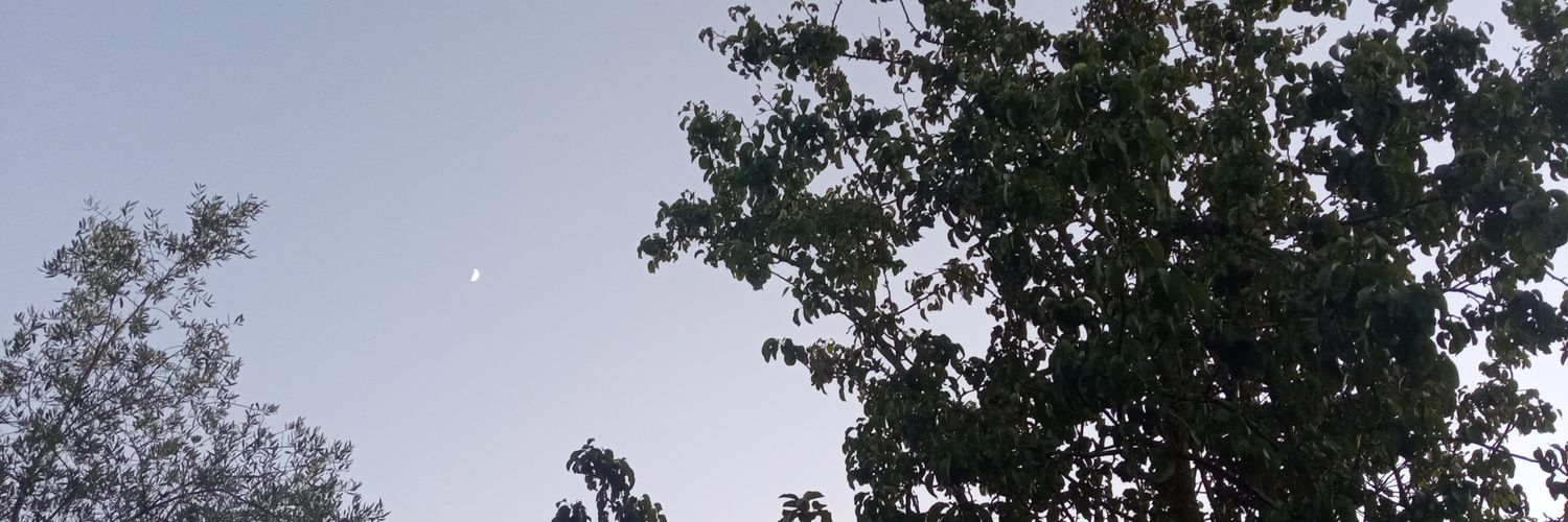 ᵒˢᶜᵃʳ banner