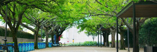 NevadaPlants Profile Banner