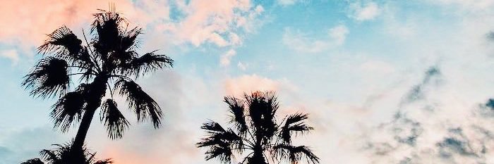dreamymanda's profile banner image