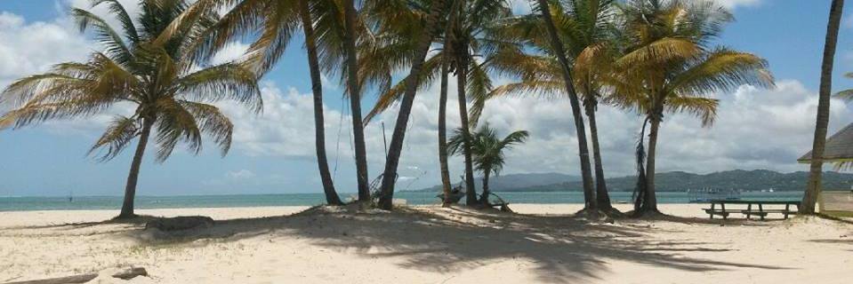 kandi_tt's profile banner image