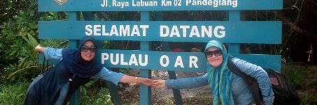 alite-alit banner