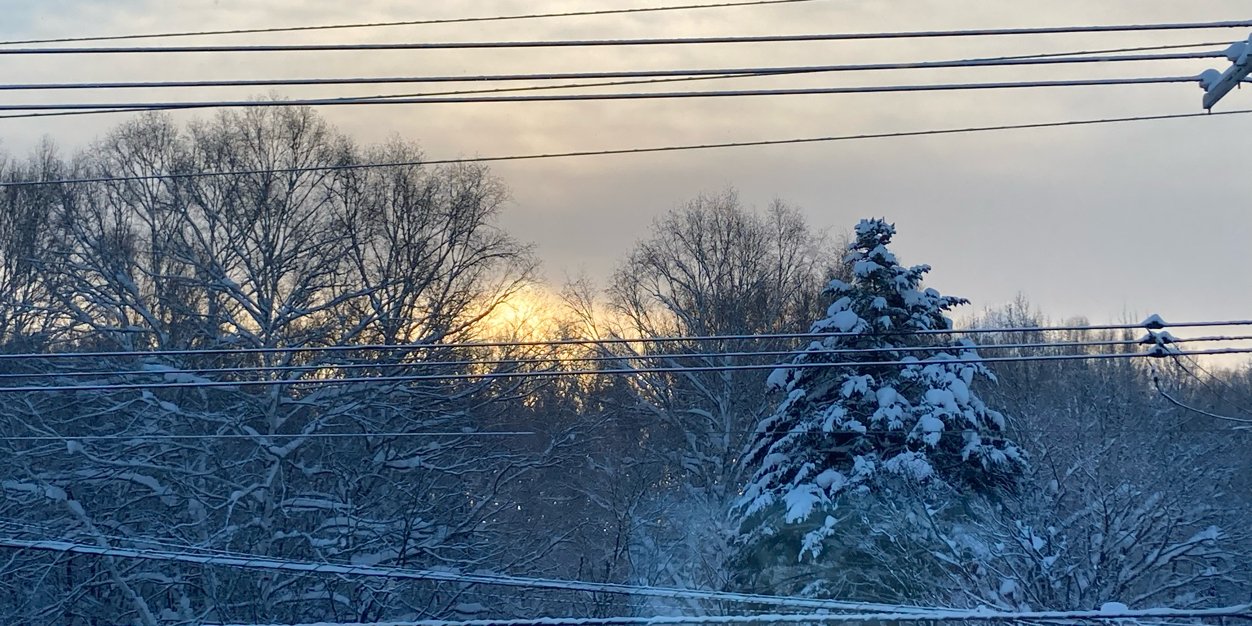 littlefromnorth's profile banner image