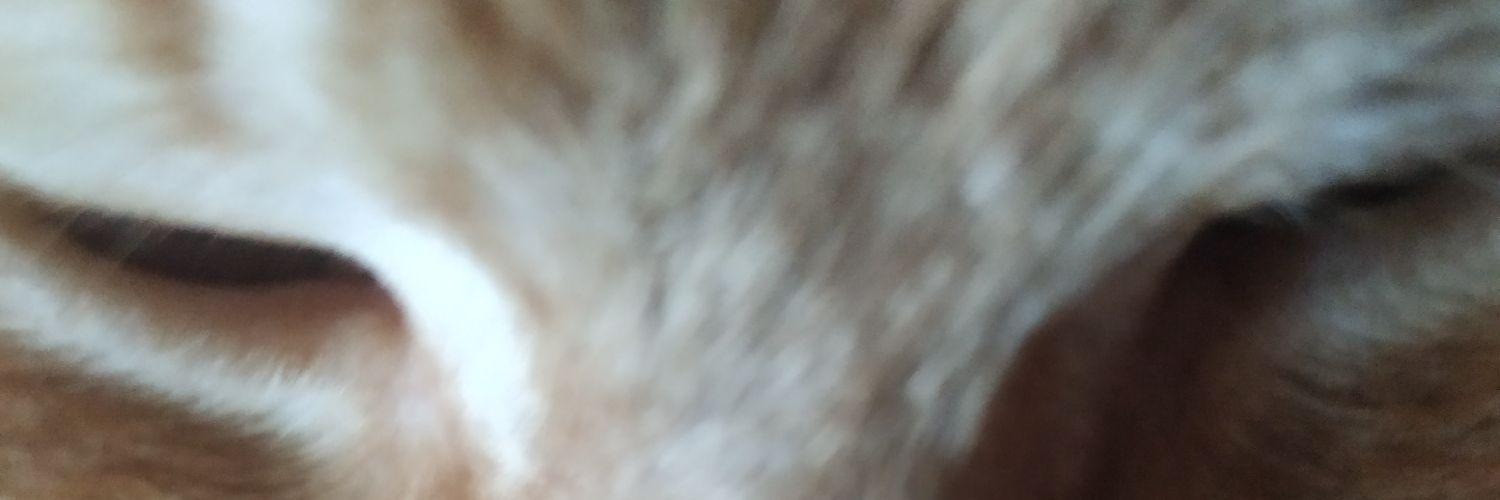 Alex_68_63's profile banner image