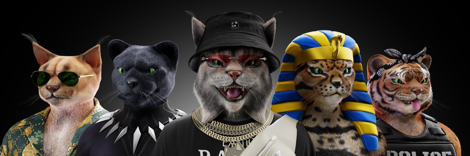 ExoticCatsNFT's profile banner image