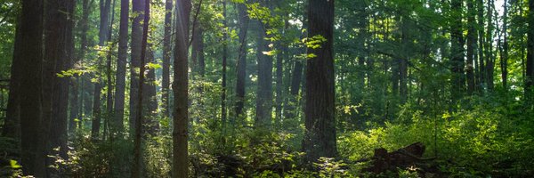 proudbugman Profile Banner
