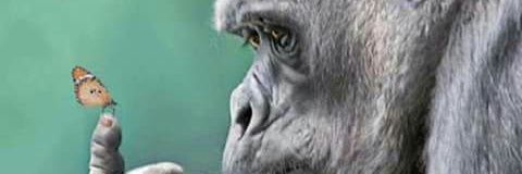 kiberninc's profile banner image
