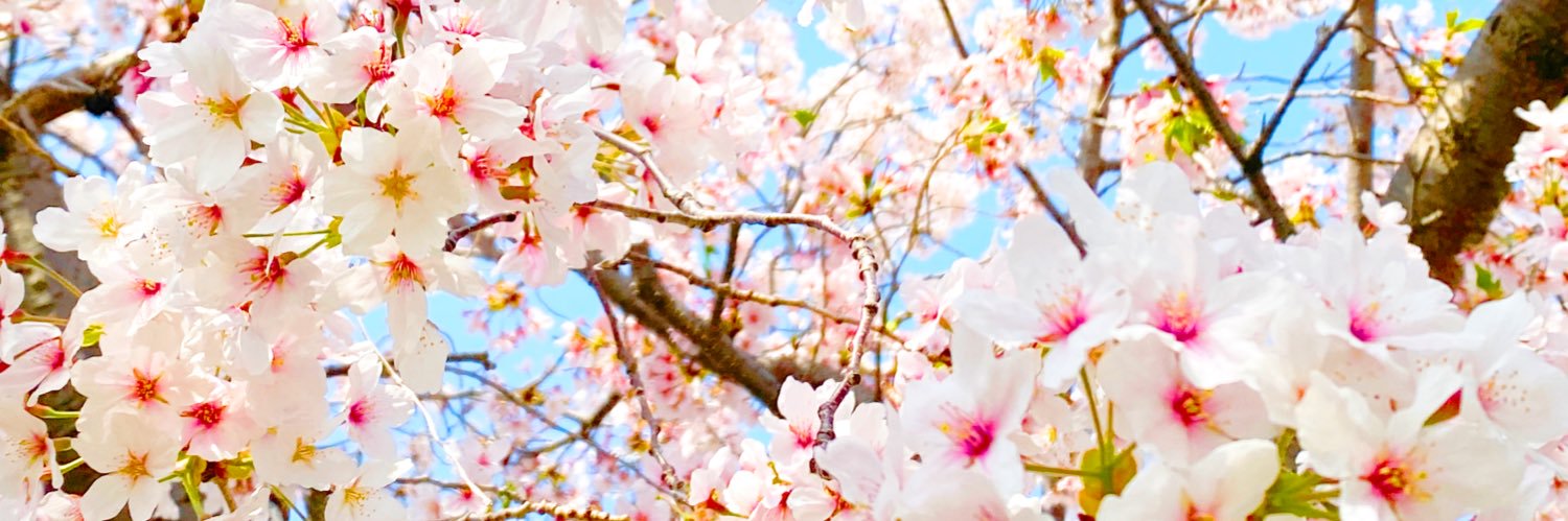 伏黒恵@狼掞 banner