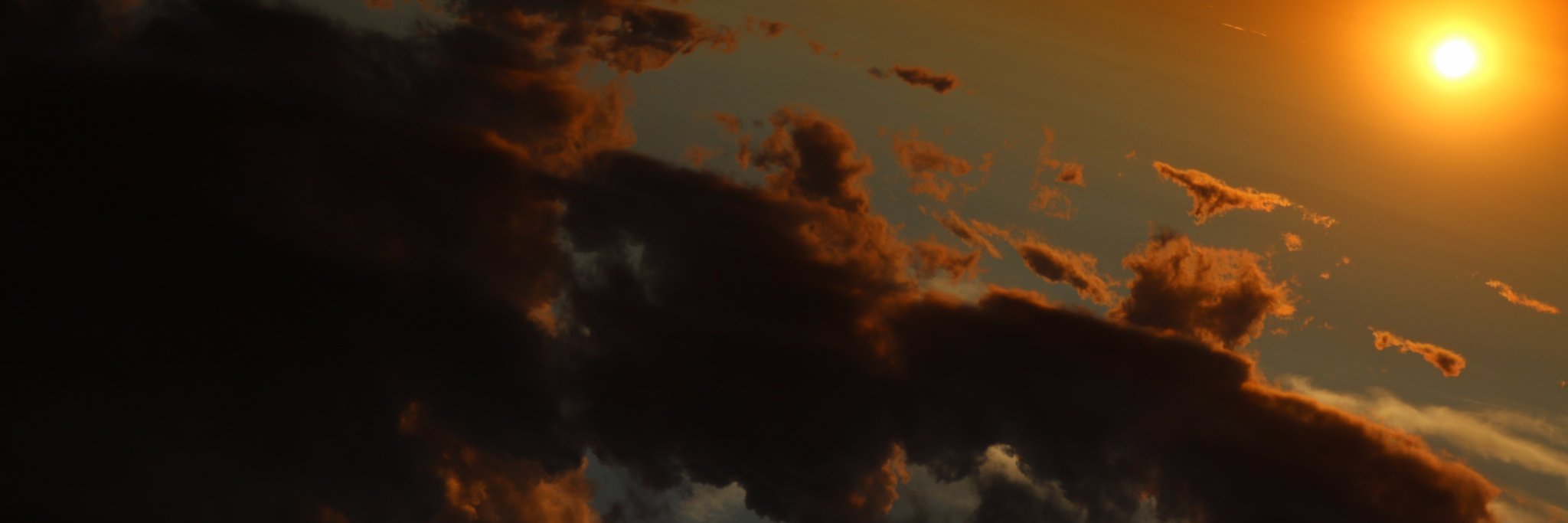 JHatTheCat's profile banner image
