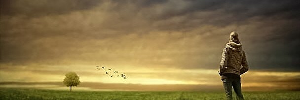 Sharon_Lippert's profile banner image