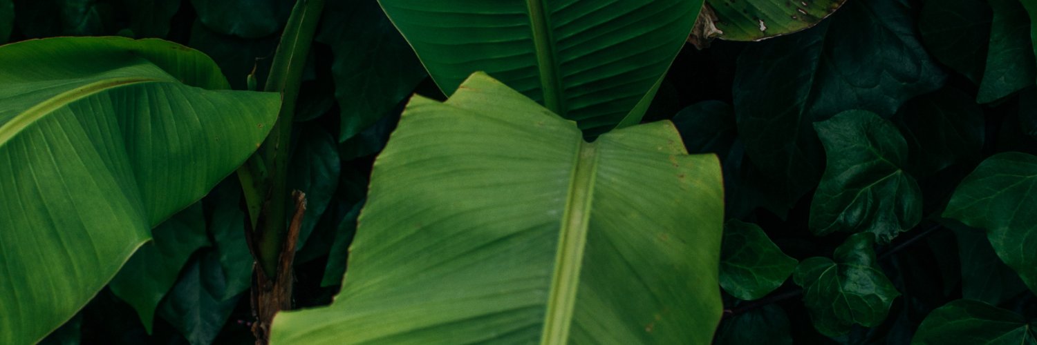 Magentagirl97's profile banner image