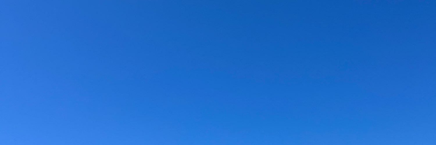 ブイゼル@💮🥦 banner