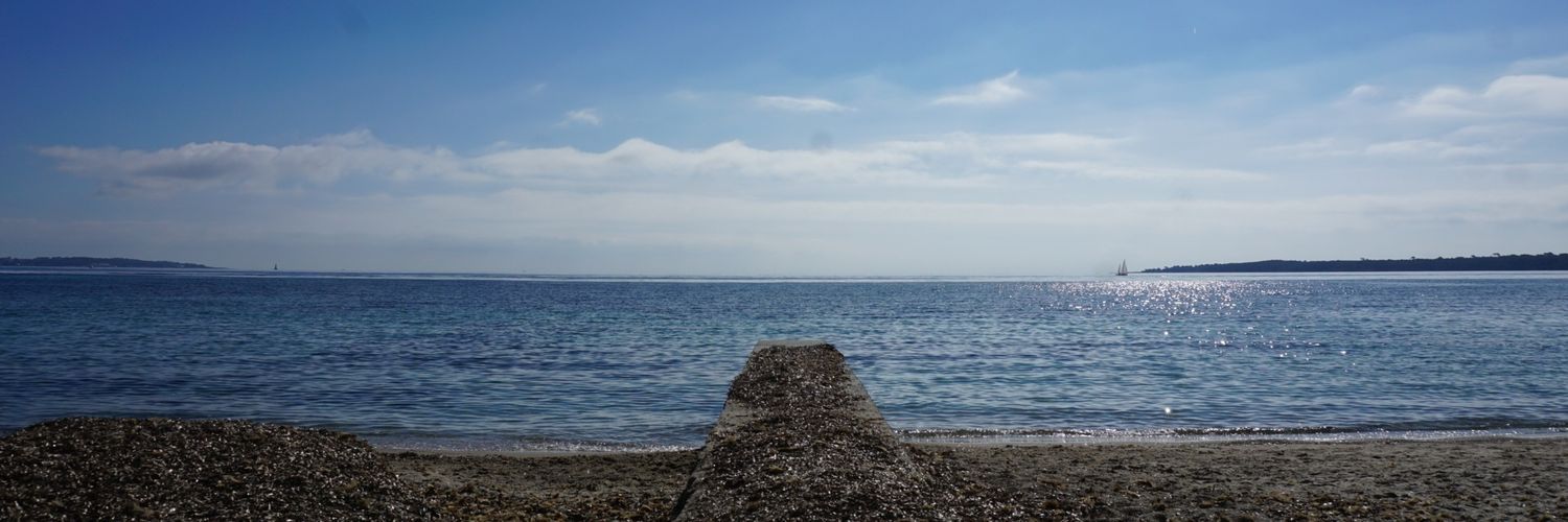Sandrine Darcos banner