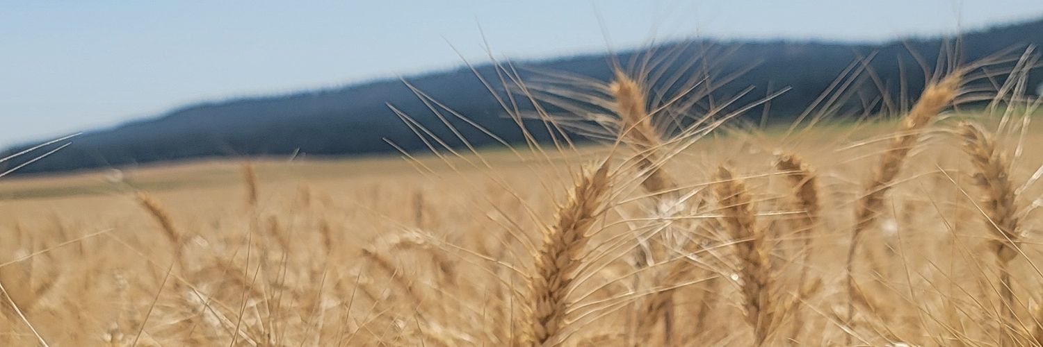 psidb banner