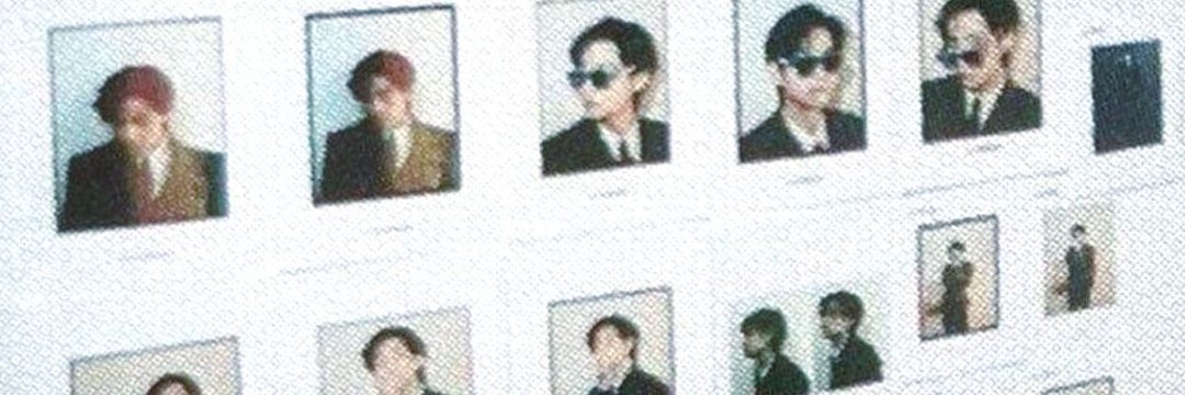 retired vminist banner