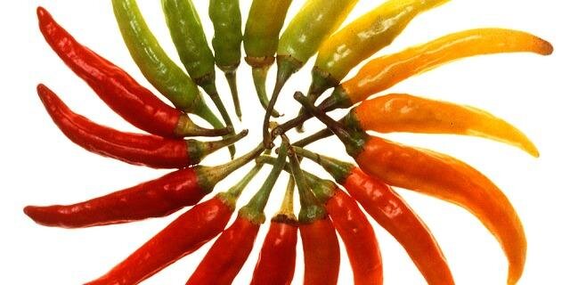oguzkocaoglu's profile banner image