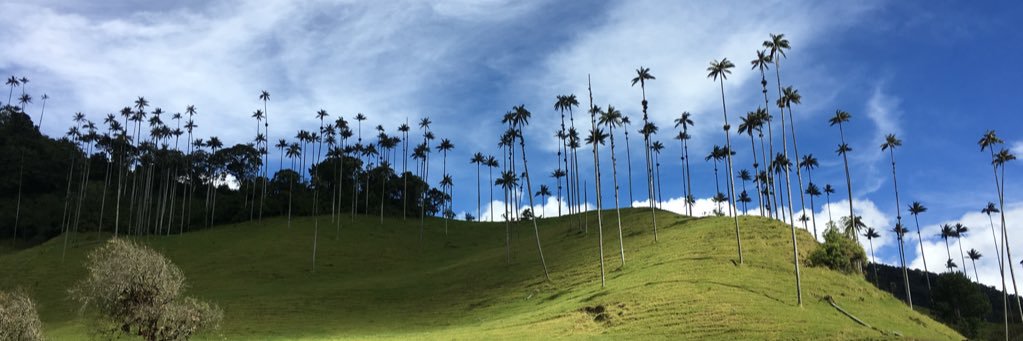 Leonardo Bonilla banner