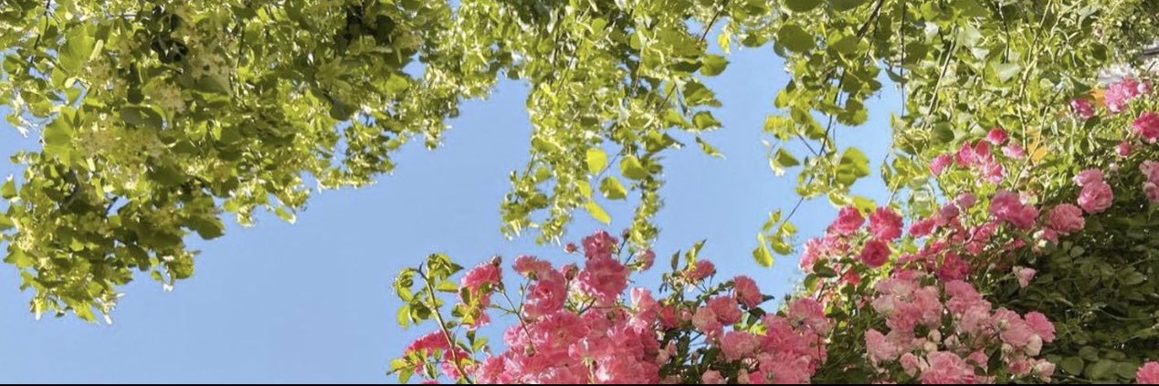 mitchell✨✨ banner