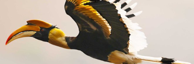 birdbig01's profile banner image