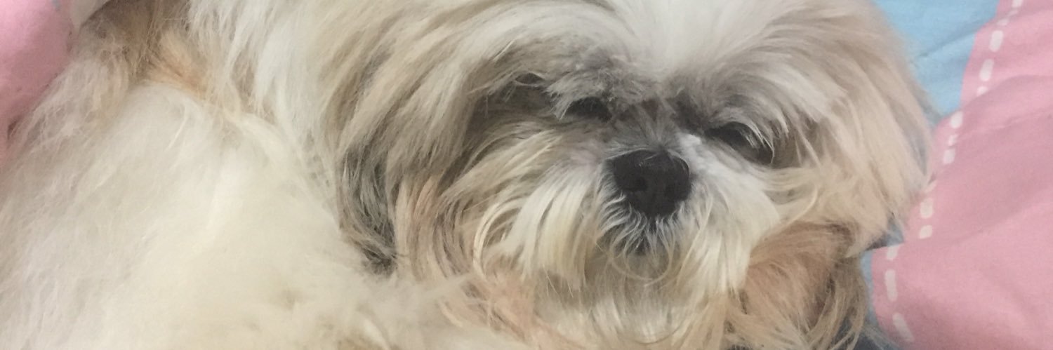 juuesposito's profile banner image