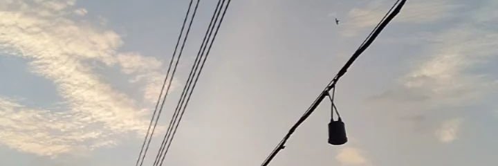 Desi banner