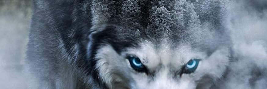 RichardCohen05's profile banner image