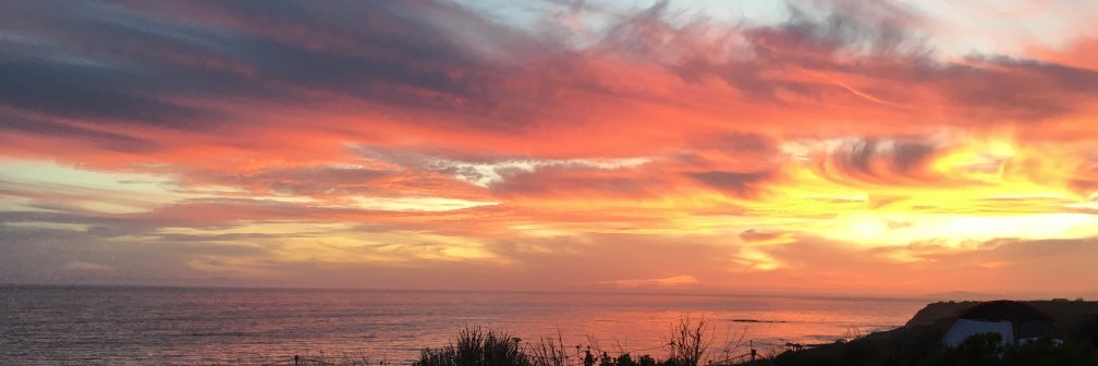 Dr. Emma Leigh Waldron banner