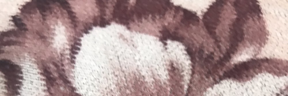 SalbAhhh's profile banner image