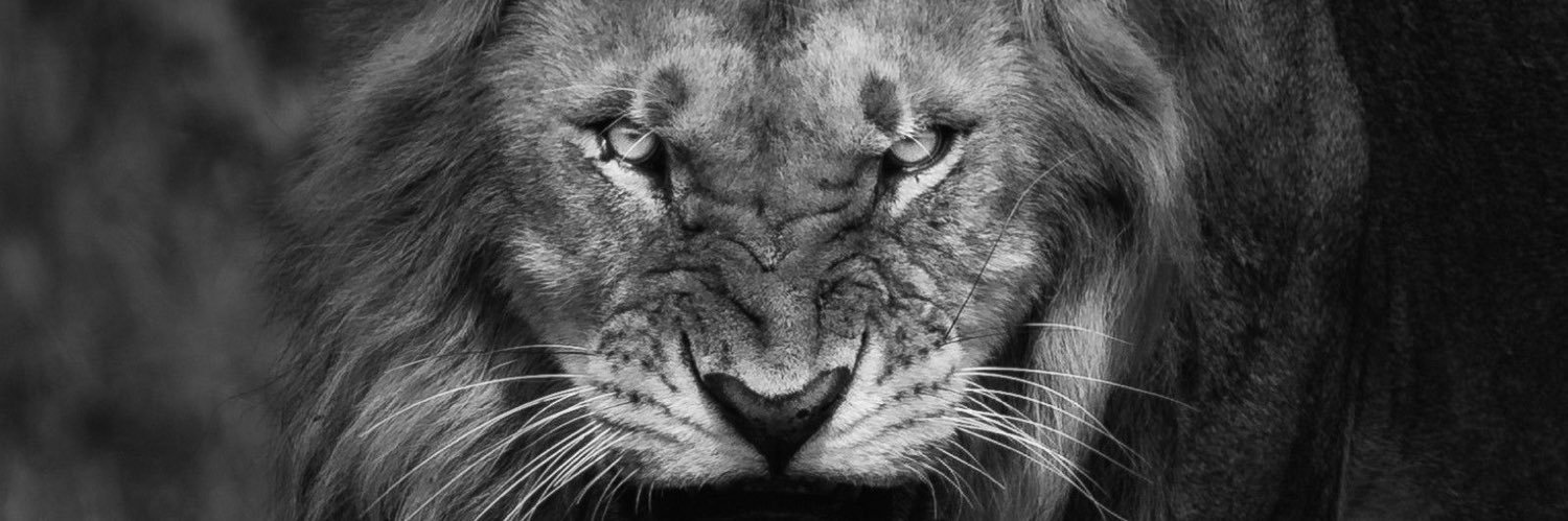 Cedric “Ced” Pearce banner