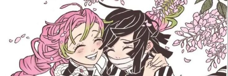 ire's banner
