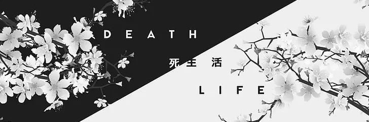 ∆pan banner