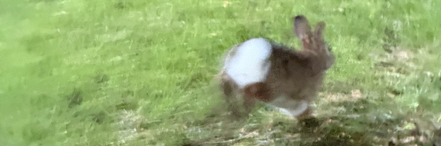 morgy 💖 (very cool) 墨桃 banner