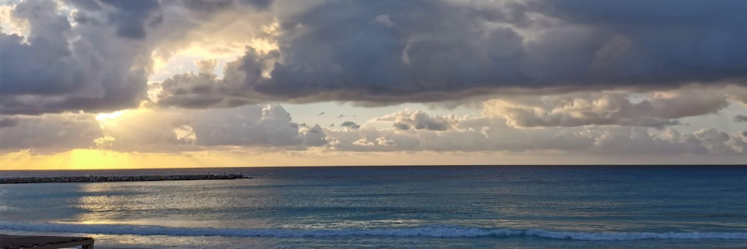 Ali35LOPEZ's profile banner image