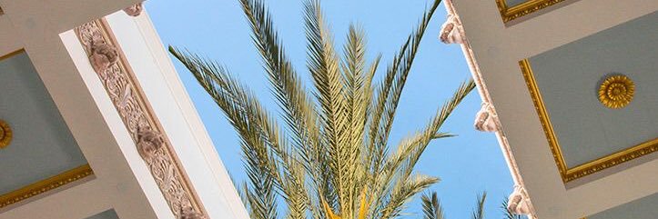 ajaaabrahams's profile banner image