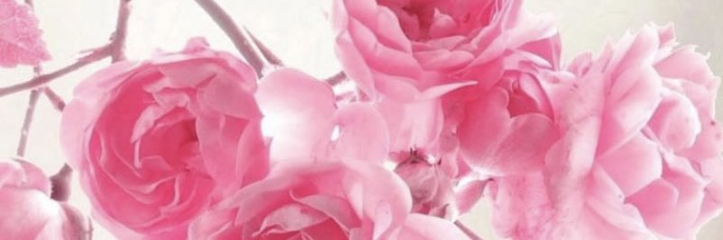 Keyraaa_1's profile banner image