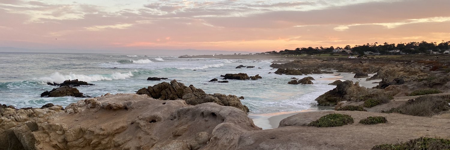 Amy Wilson (she/her) banner