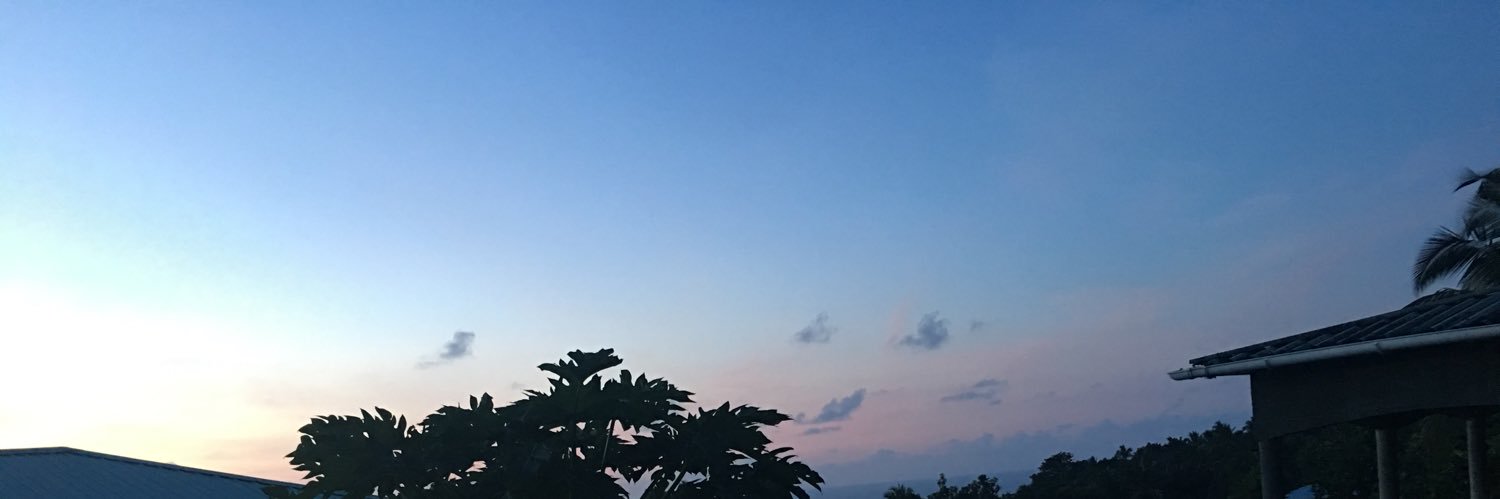 Idarousse's profile banner image
