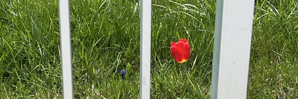 Bihatu_eee Profile Banner