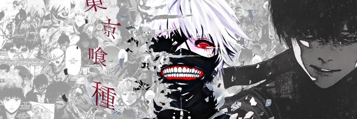 1000-7 banner