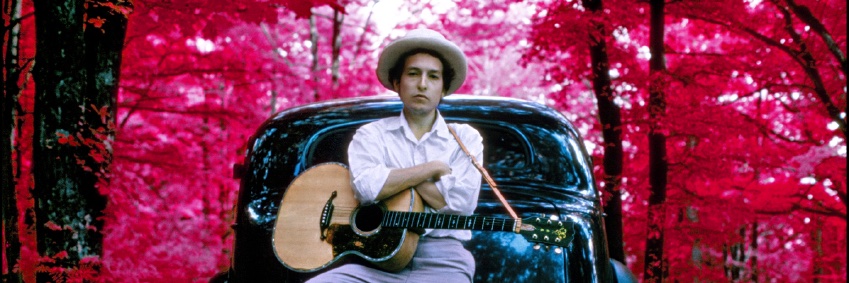 Elliott Landy banner