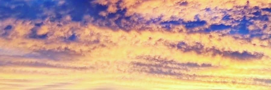 mario_dlf_47's profile banner image