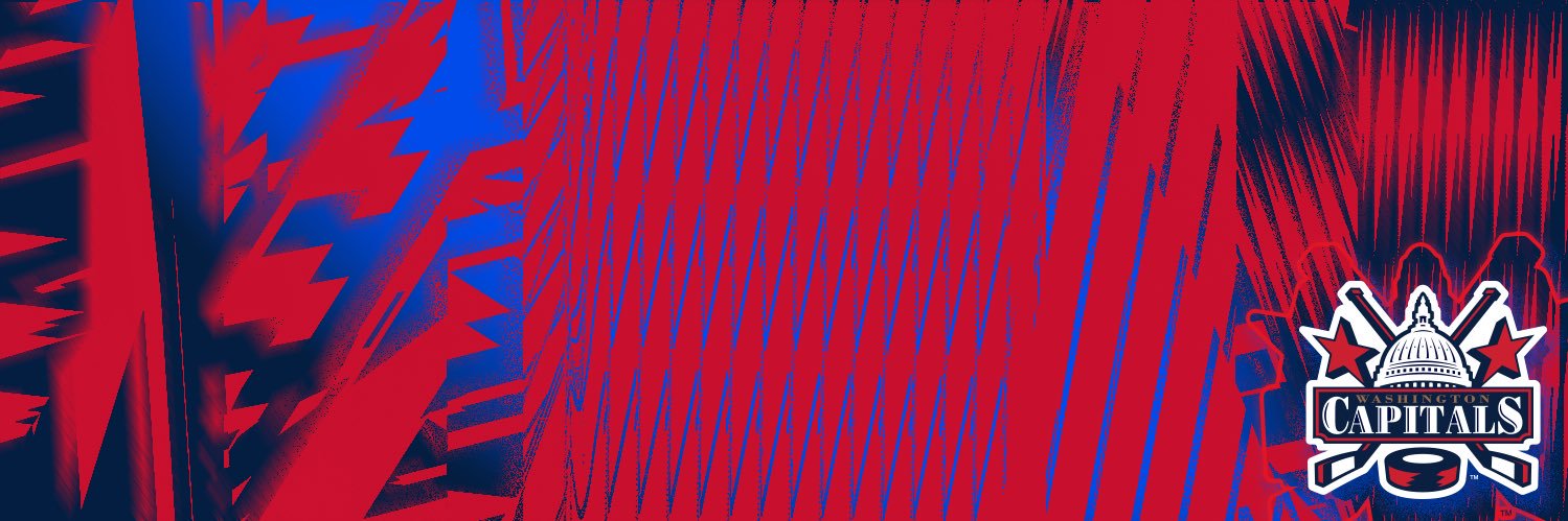 Washington Capitals banner