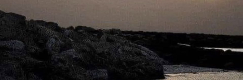 ميم banner