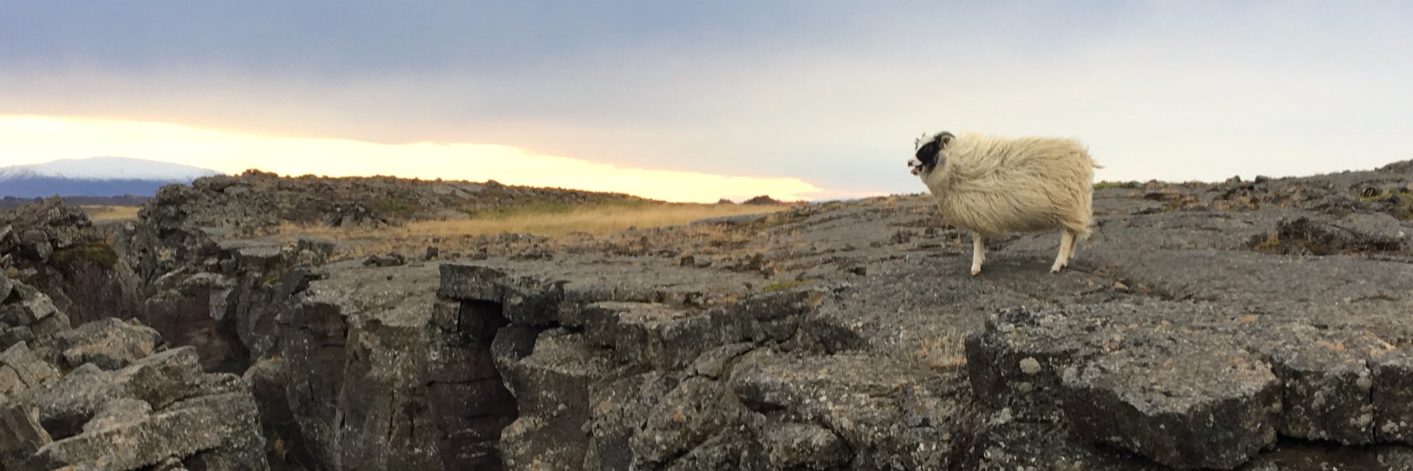 derekhoman's profile banner image