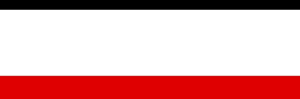 Bro plays hoi4 banner