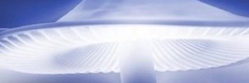 Pedroman_crypto's profile banner image
