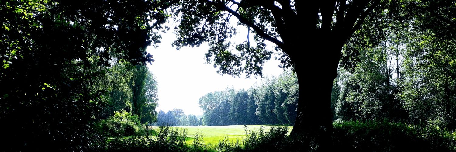 KeepingGreens88's profile banner image