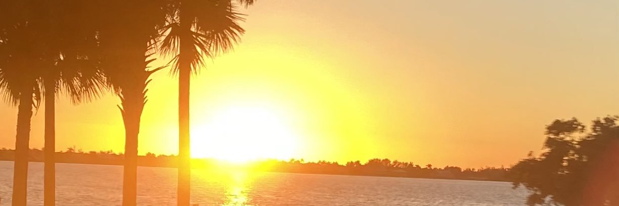 seigleyc's profile banner image